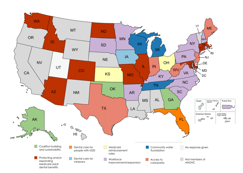 Map of the United States color-coded by each state coalition's top oral health policy priority, including fluoridation, workforce protection, Medicaid expansion, and access to care.